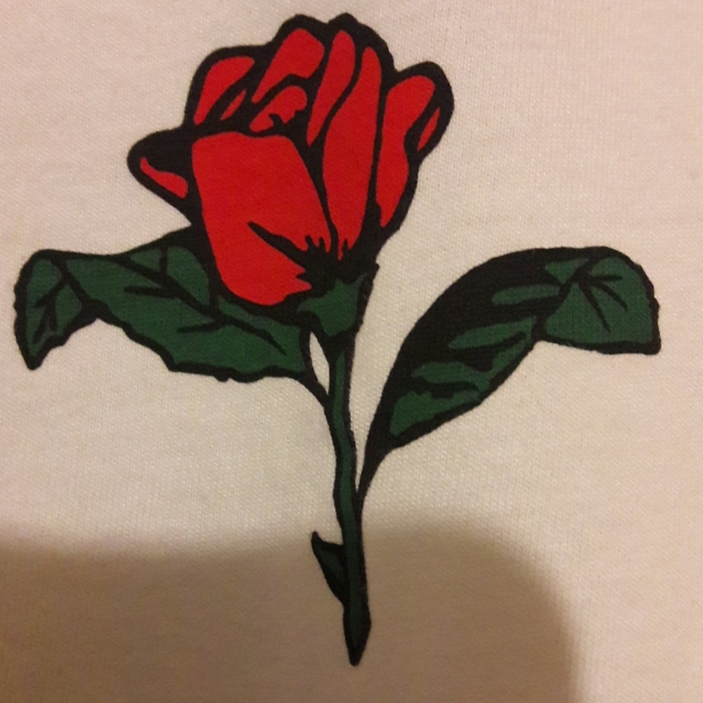 Hollister tee - Picture 2 of 7